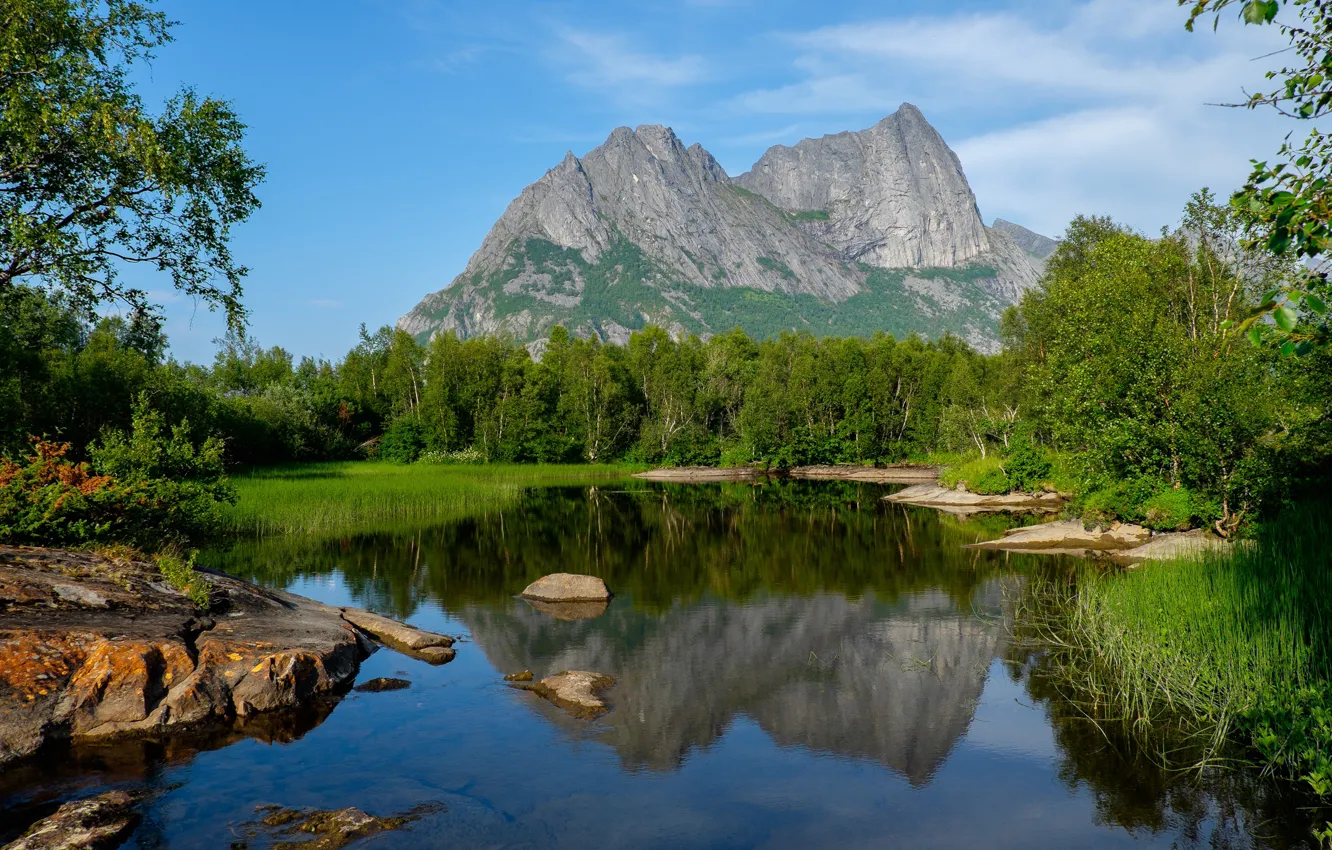 Photo wallpaper greens, forest, the sky, grass, the sun, clouds, trees, mountains