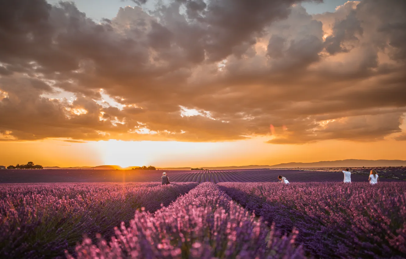 Photo wallpaper field, the sky, landscape, sunset, flowers, lavender