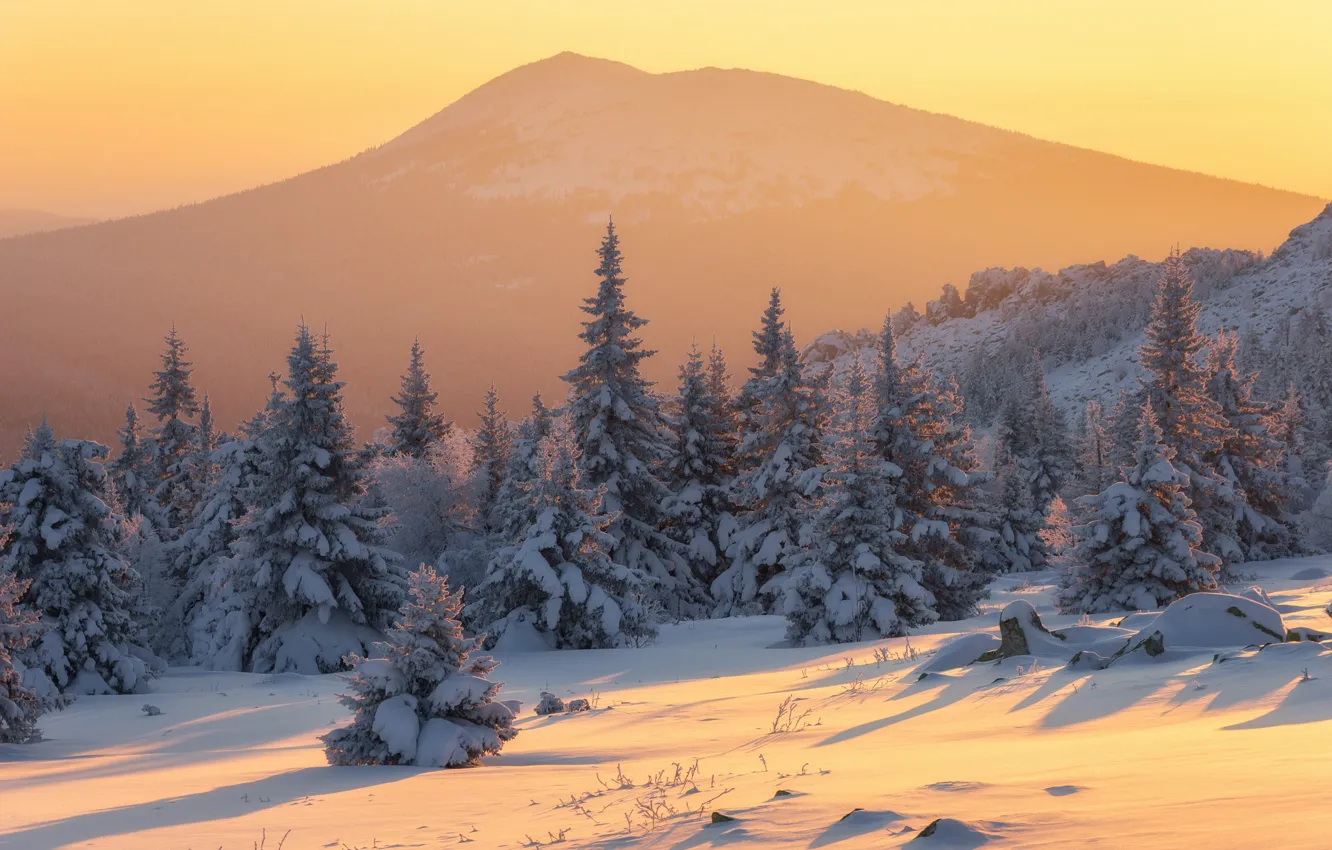 Photo wallpaper winter, snow, trees, landscape, mountains, nature, shadow, ate