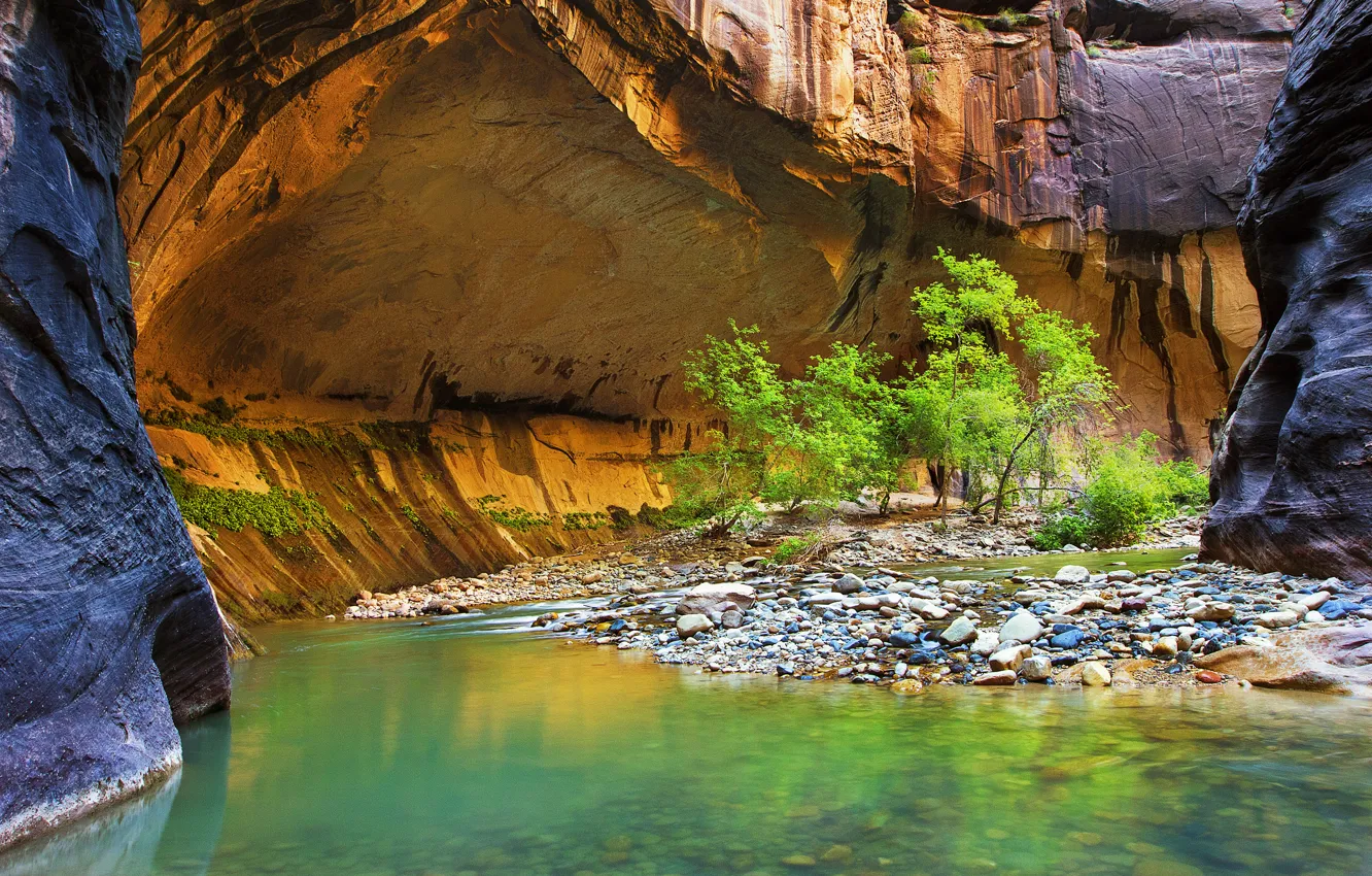Photo wallpaper leaves, trees, river, stones, rocks, canyon