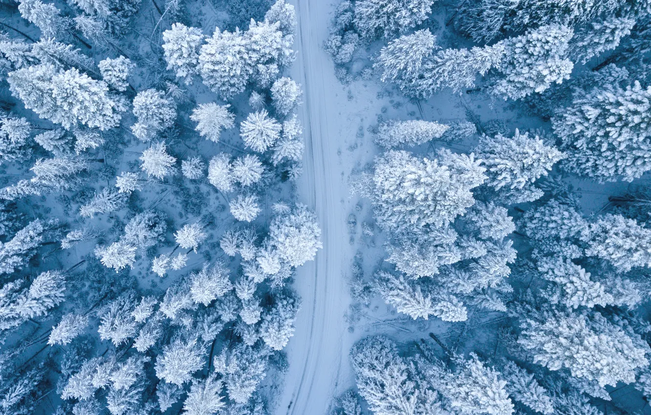 Photo wallpaper winter, road, forest, snow, trees, in the snow, ate, the view from the top