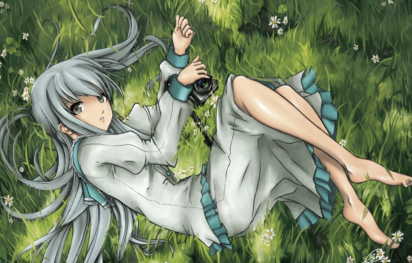 Photo wallpaper grass, girl, flowers, dress, the camera, lies, the camera