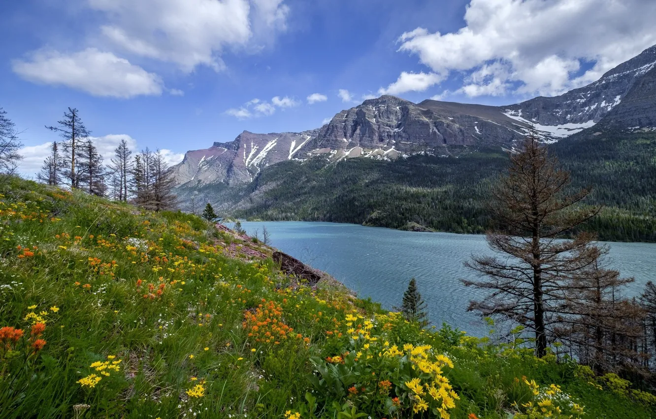 Photo wallpaper flowers, lake, mountain, meadow