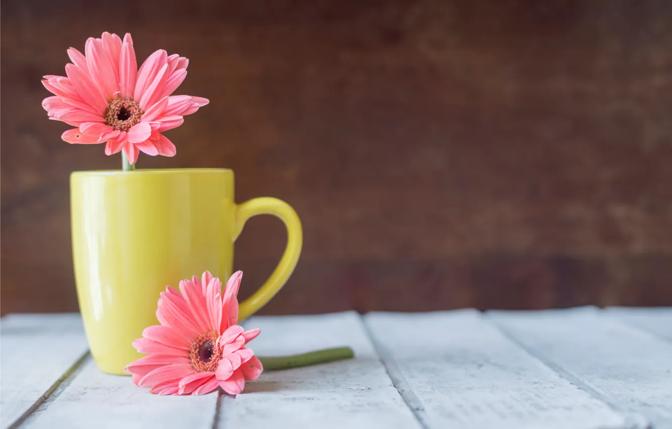 Photo wallpaper flowers, mug, chrysanthemum, wood, pink, flowers, mug