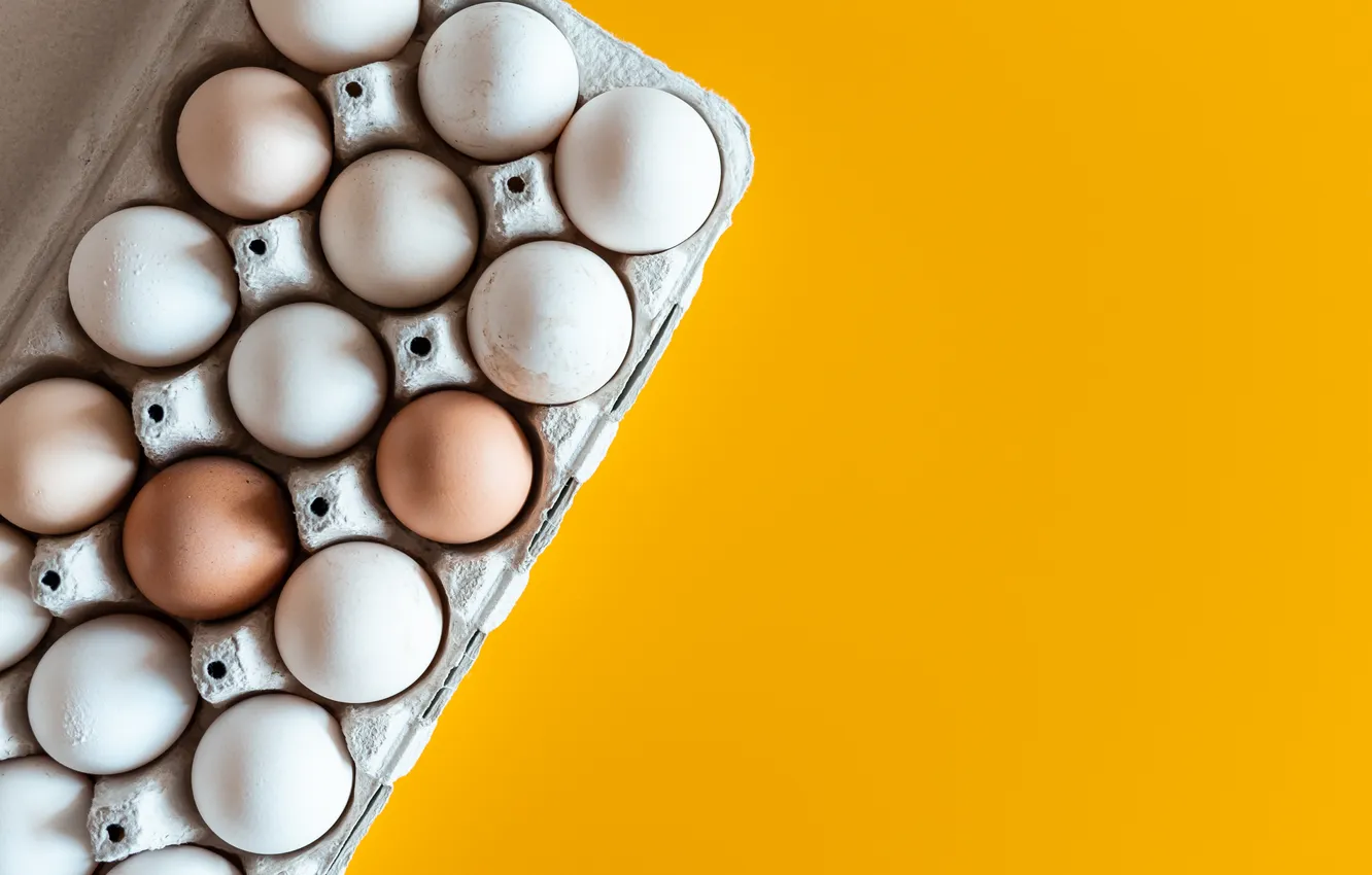Photo wallpaper colors, eggs, cardboard, maple