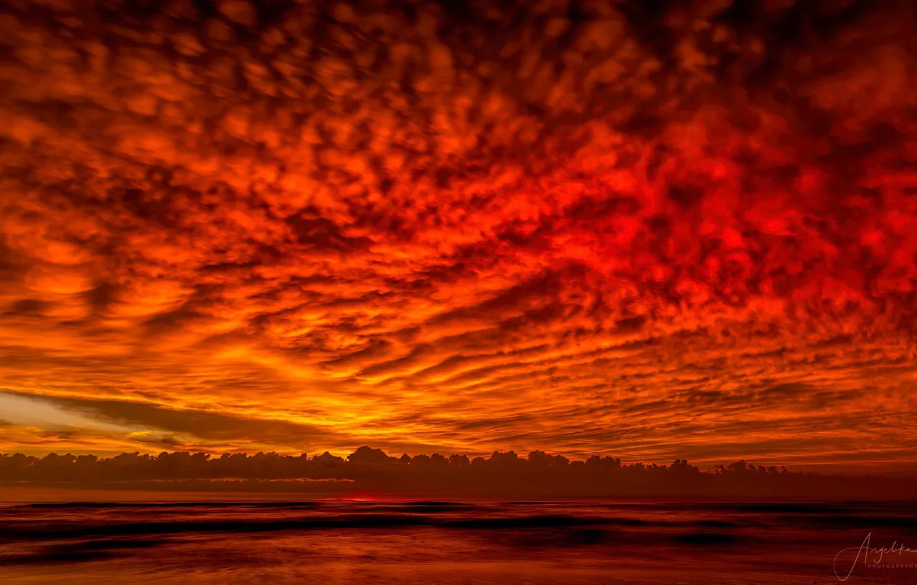 Photo wallpaper the sky, sunset, nature