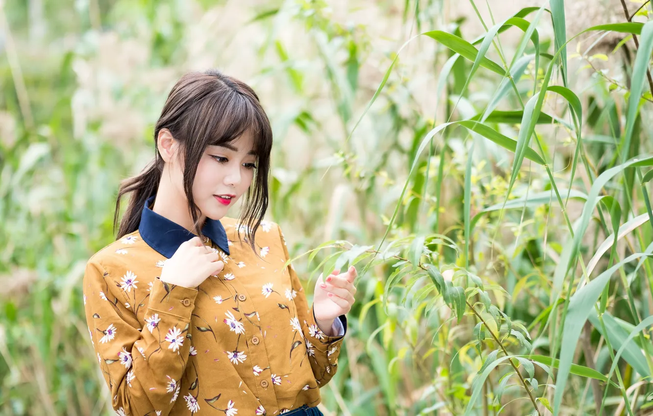 Photo wallpaper girl, portrait, Asian