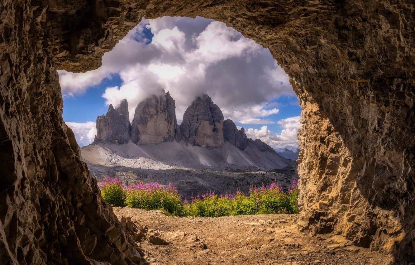 Photo wallpaper flowers, mountains, rocks, view, cave, arch, Ivan-tea, The Dolomites