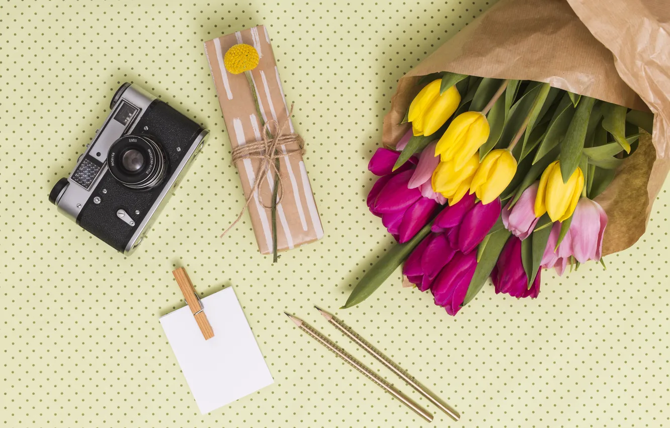 Photo wallpaper gift, bouquet, pencils, the camera, tulips, Ana Lukenda