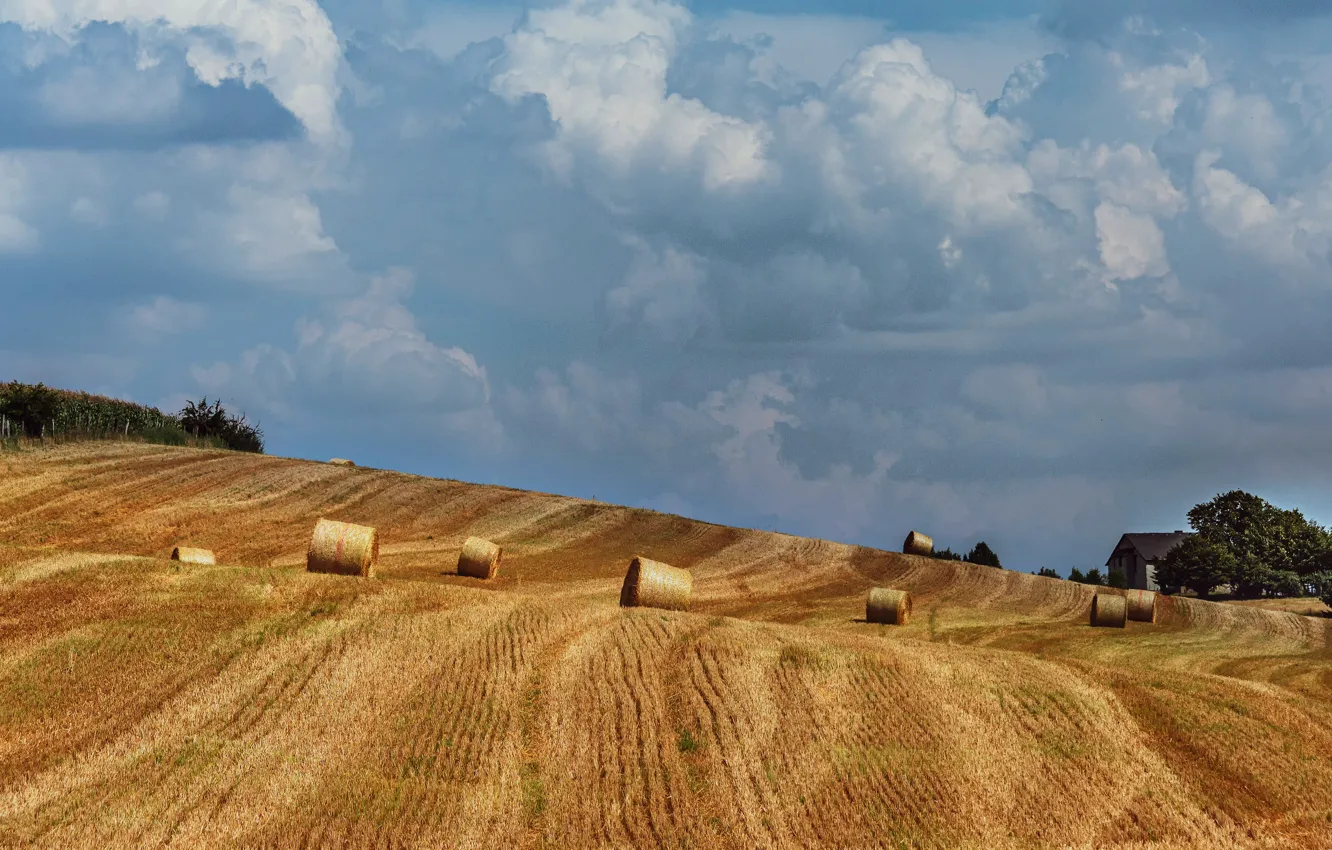 Photo wallpaper field, the sky, clouds, strip, slope, cleaning, space, hay
