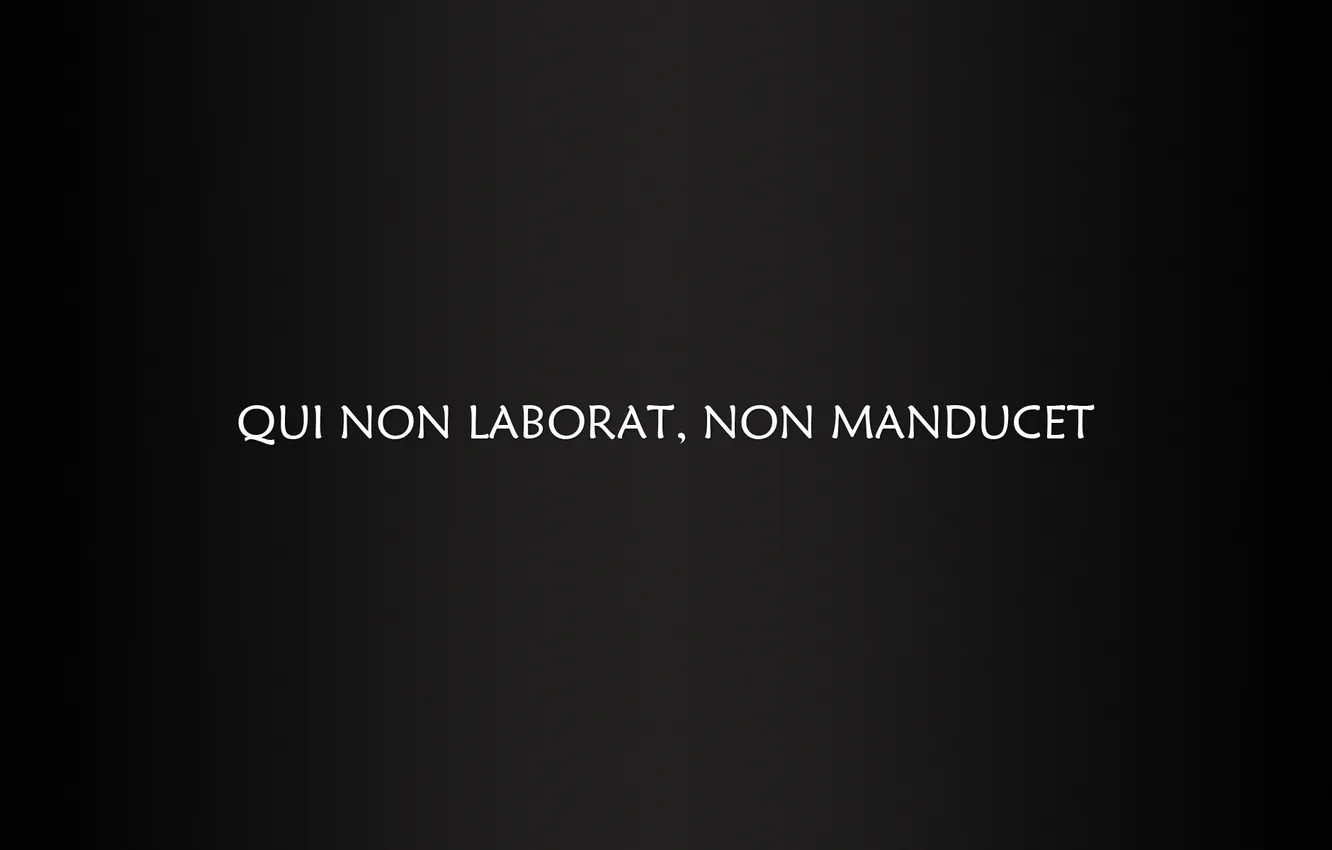 Photo wallpaper minimalism, the expression, Latin