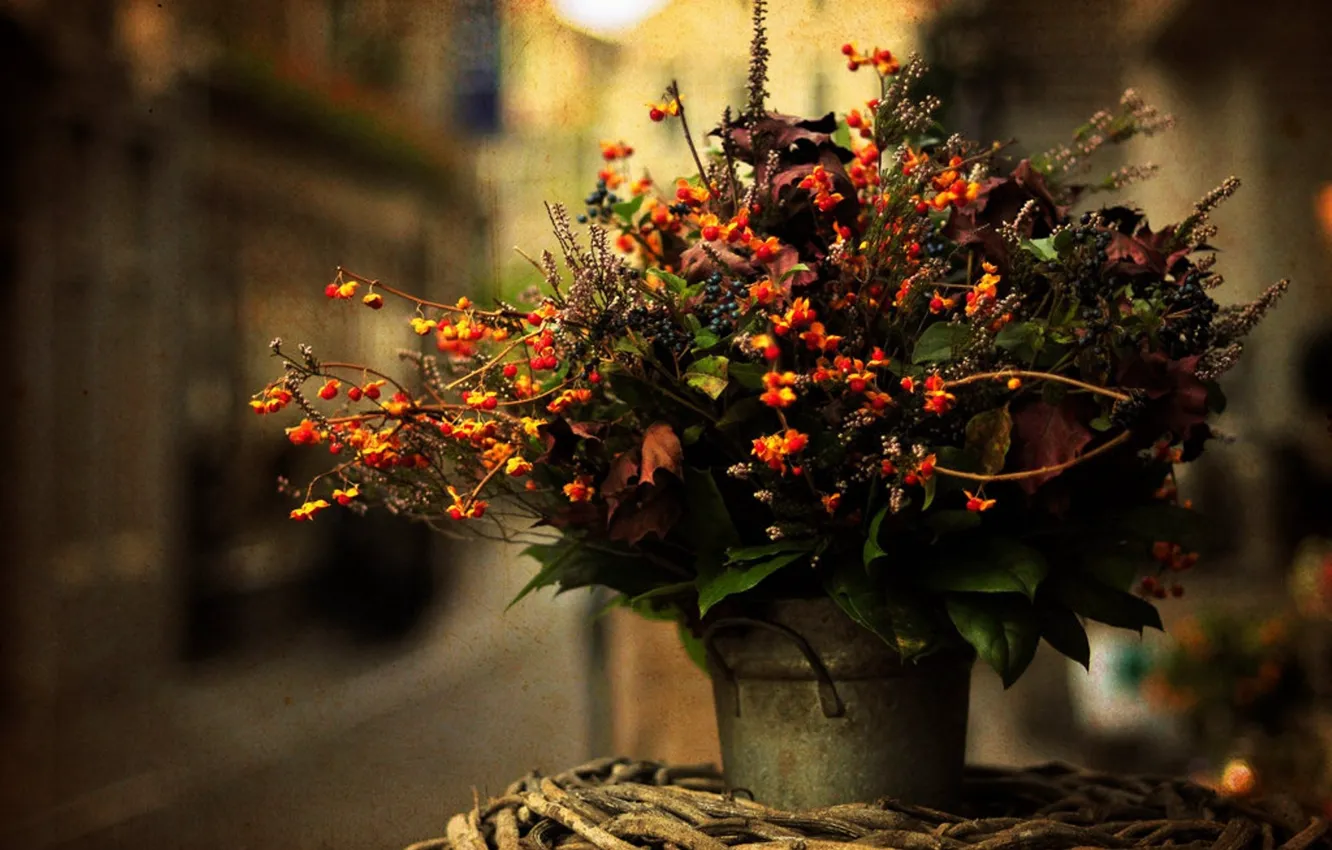 Photo wallpaper leaves, flowers, bouquet, blur