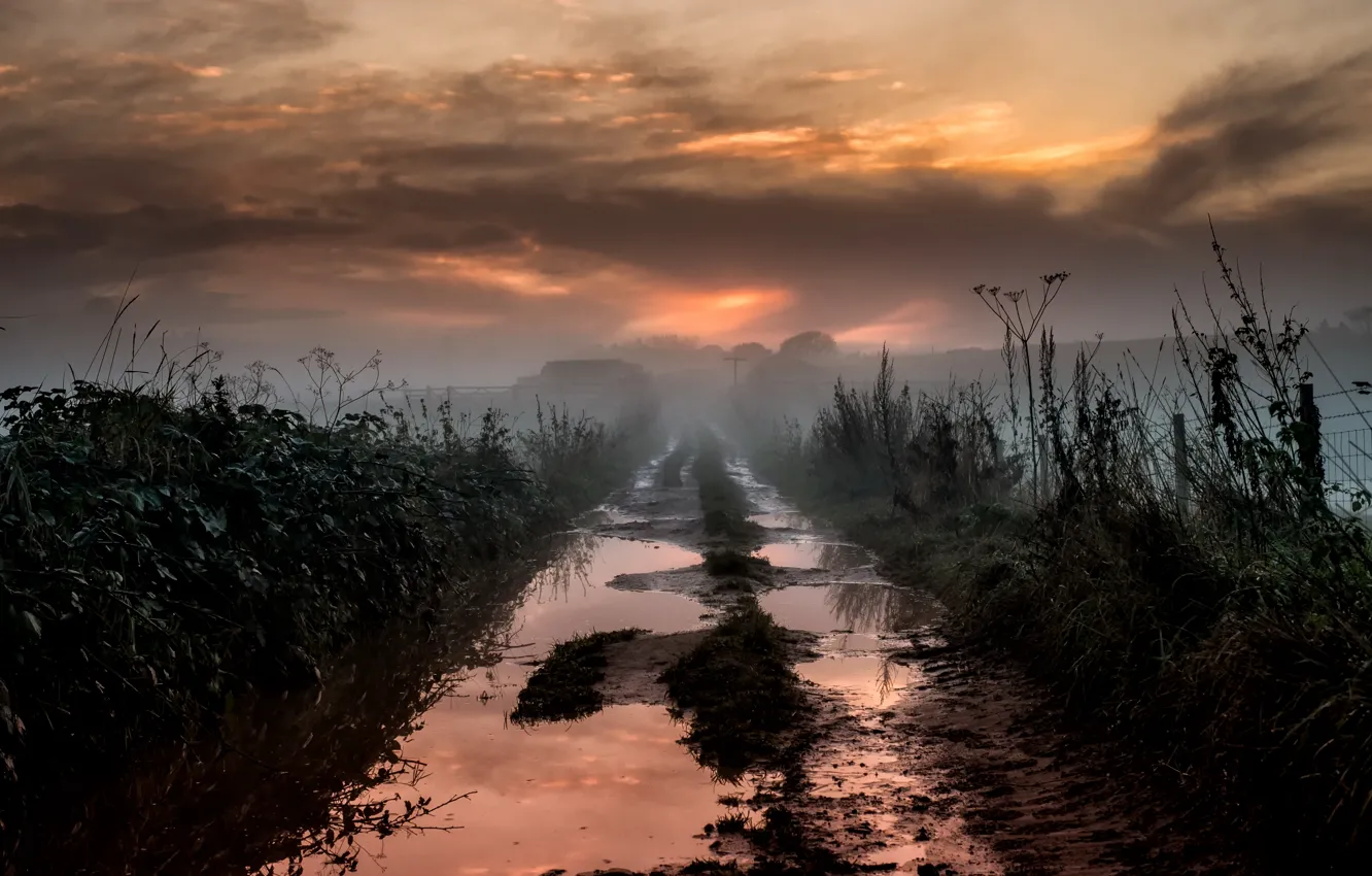 Photo wallpaper road, fog, puddle