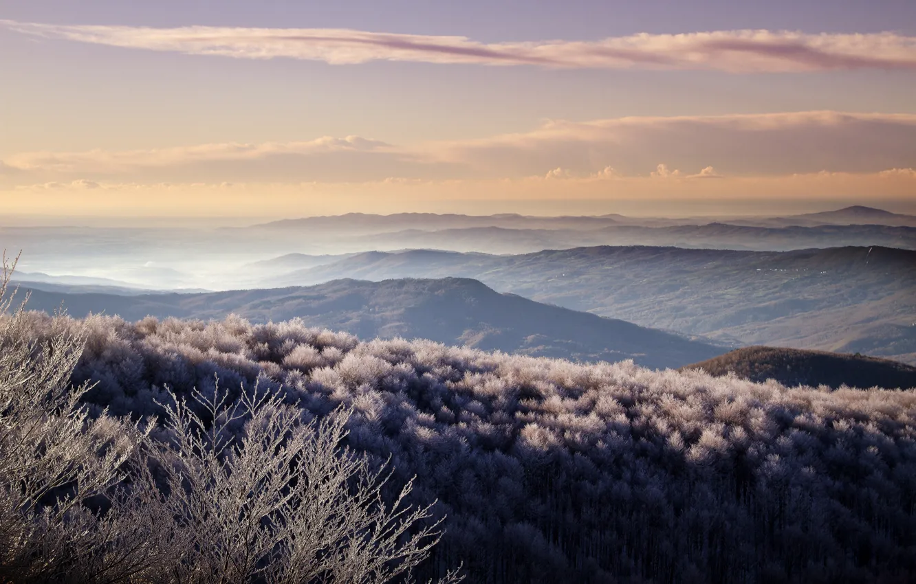 Photo wallpaper frost, forest, hills, morning, valley