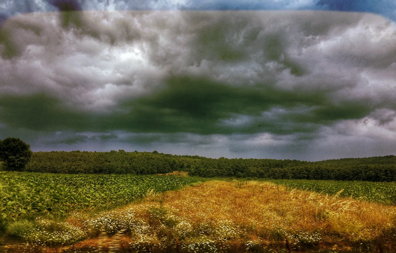 Photo wallpaper road, sky, landscape, nature, cloud, background, Turkey