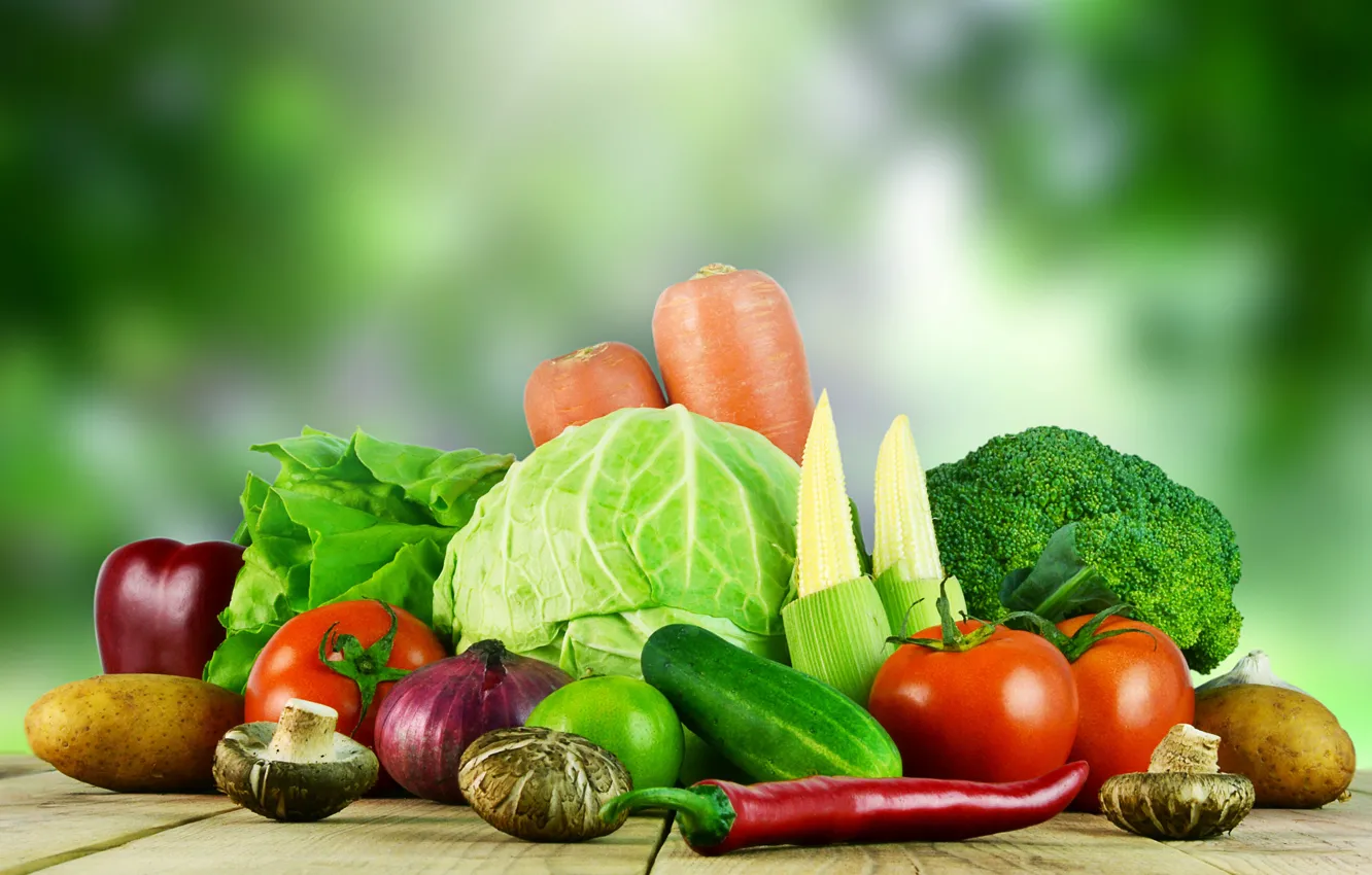 Photo wallpaper mushrooms, still life, vegetables, carrots, cabbage