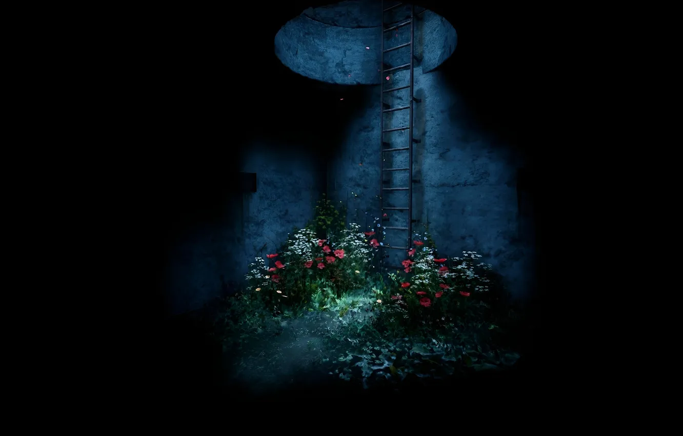 Photo wallpaper flowers, shadow, the tunnel, ladder, сталкер2