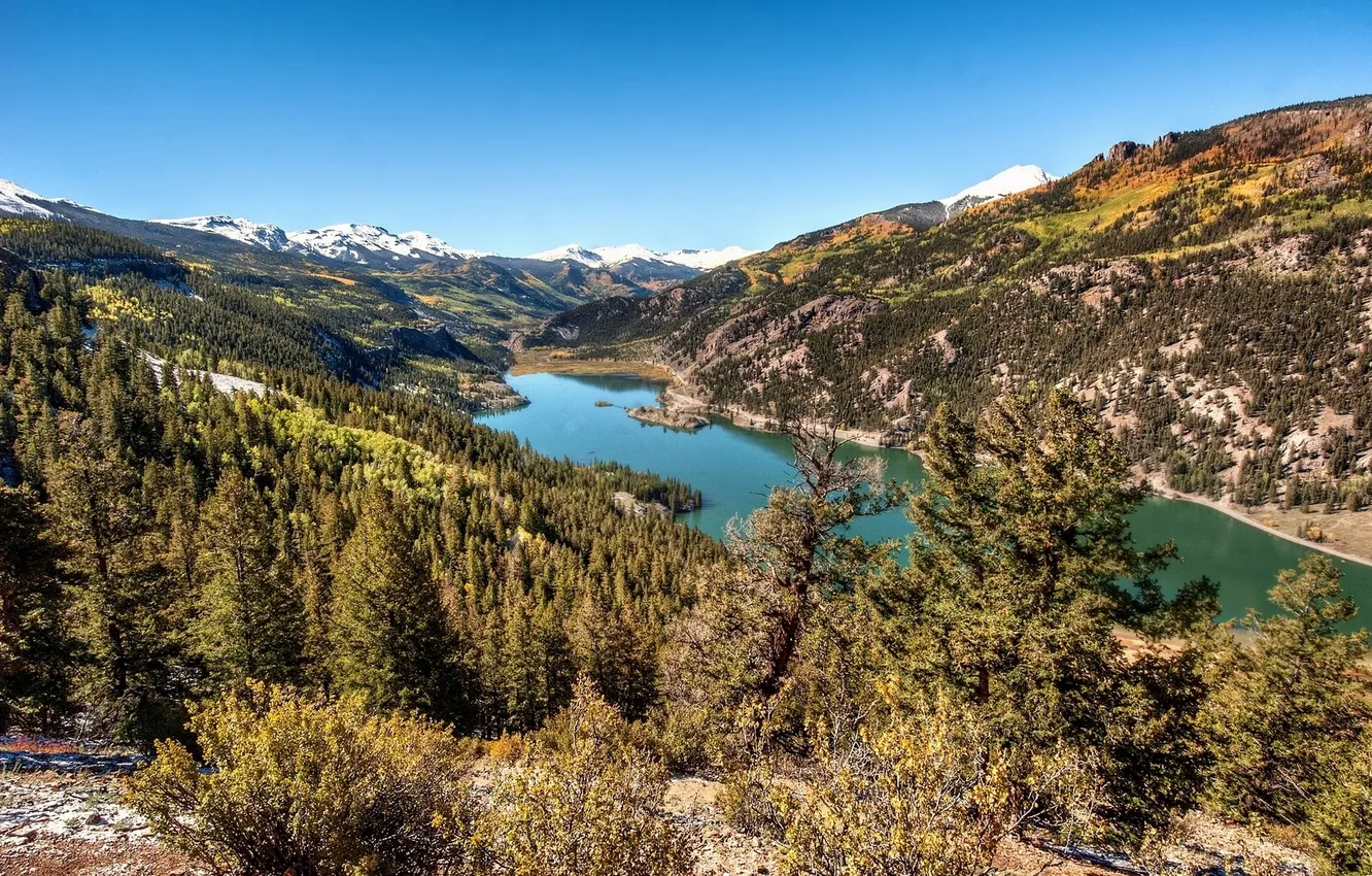 Photo wallpaper forest, Colorado, Colorado, Rocky mountains, Lake San Cristobal, Rocky Mountains, Hinsdale County, lake San Cristobal