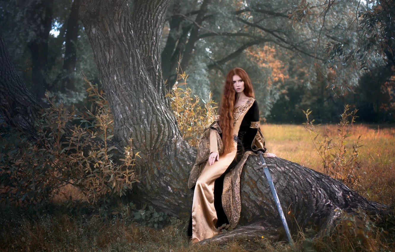 Photo wallpaper girl, tree, sword, dress, fantasy