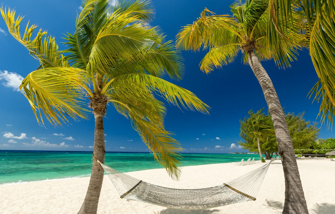 Photo wallpaper sand, sea, beach, the sky, the sun, clouds, tropics, palm trees