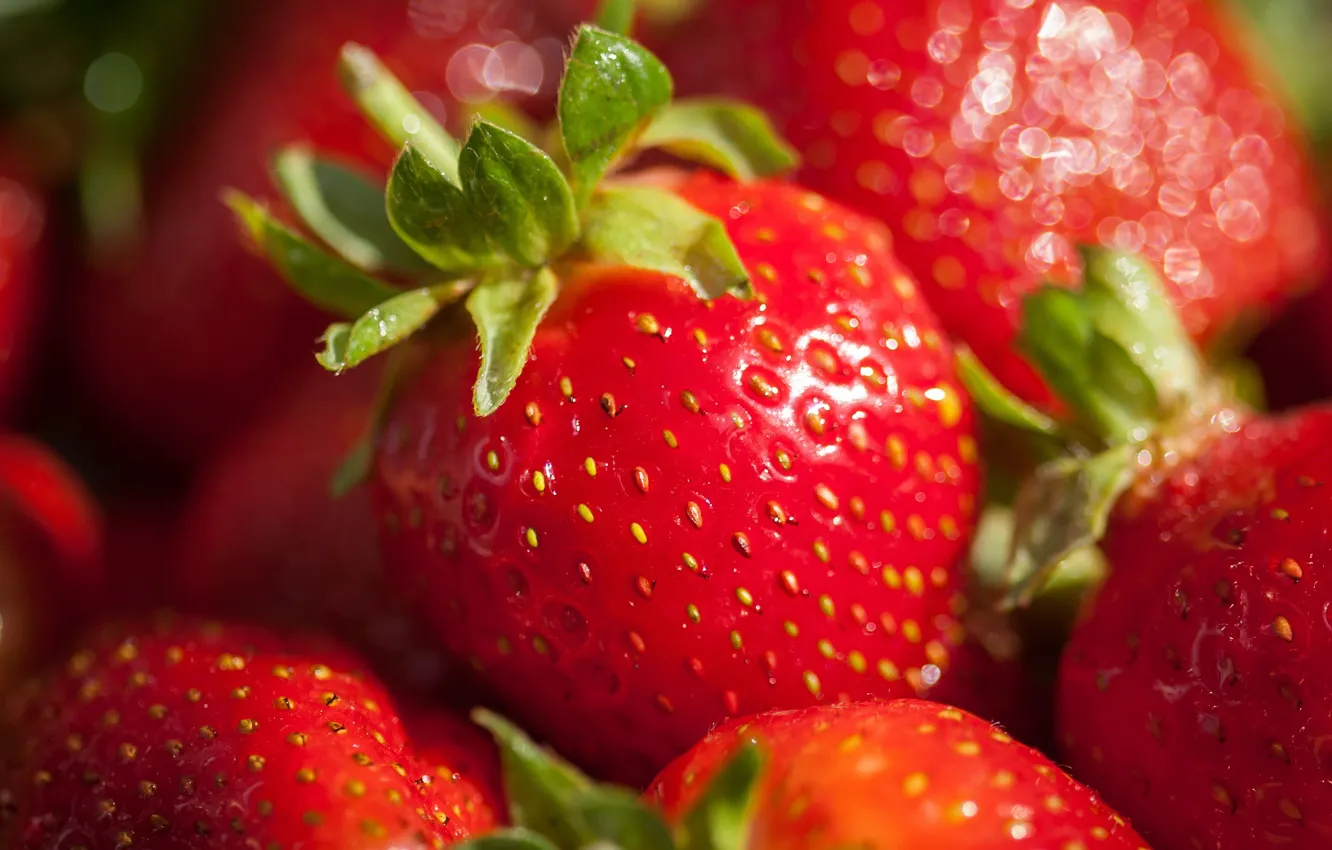 Photo wallpaper red, berries, food, harvest, strawberry, a lot, bokeh
