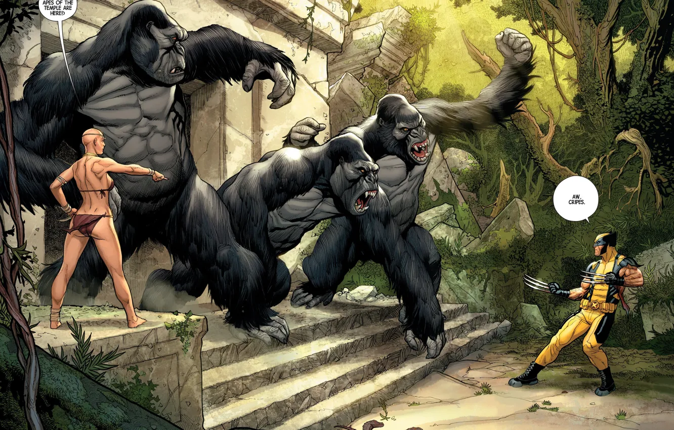 Photo wallpaper girl, woman, costume, gorilla, claws, girl, Wolverine, Logan