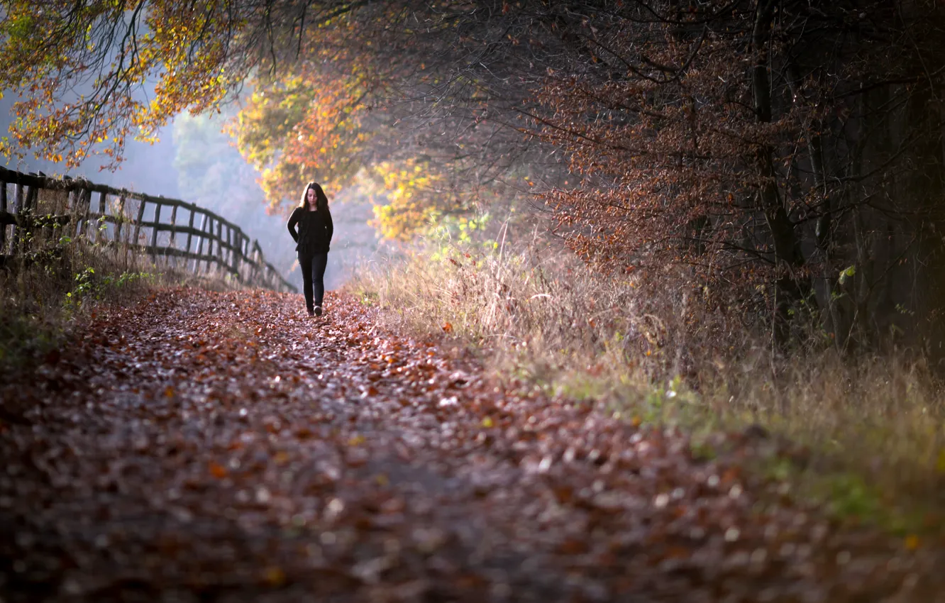 Photo wallpaper autumn, girl, the fence, fence, walk