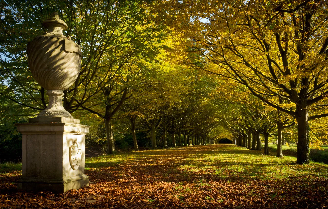 Photo wallpaper autumn, trees, Park, England, alley, England, Cambridge, Cambridge