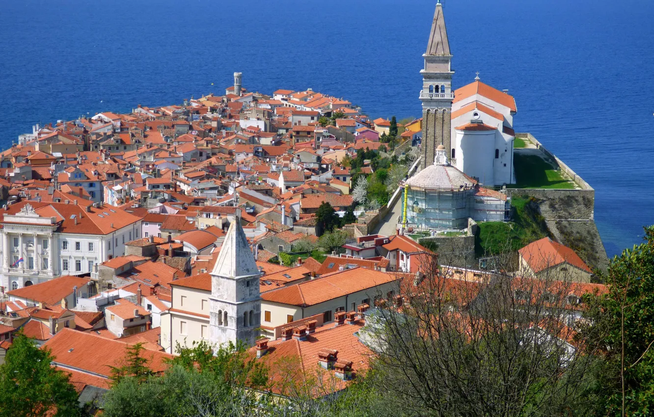 Photo wallpaper sea, the city, home, Piran, Slovenia, Istria, the Peninsula