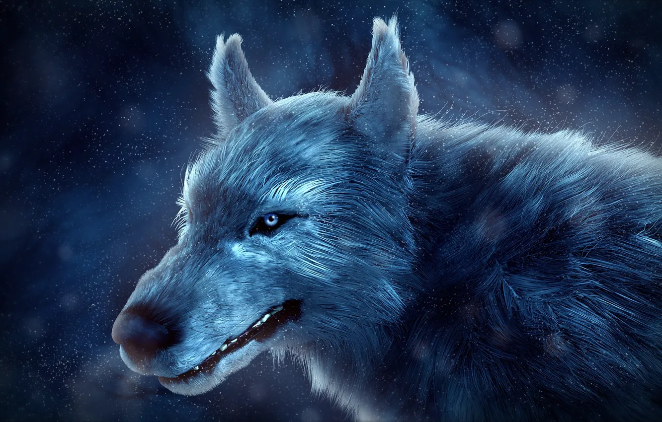 Photo wallpaper winter, snow, wolf, by IkyuValiantValentine, Valiant Valentine
