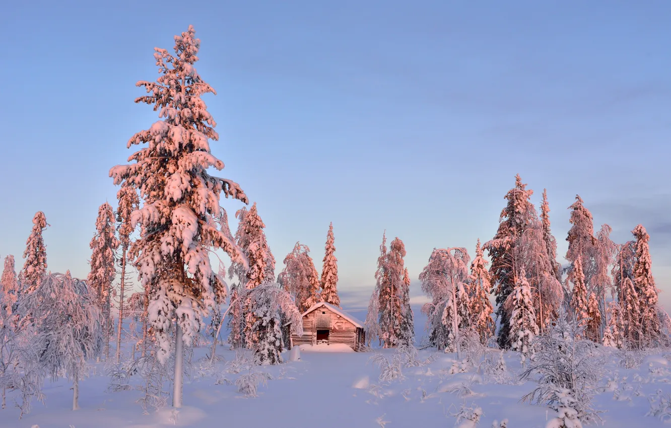 Photo wallpaper winter, snow, trees, lighting, the barn