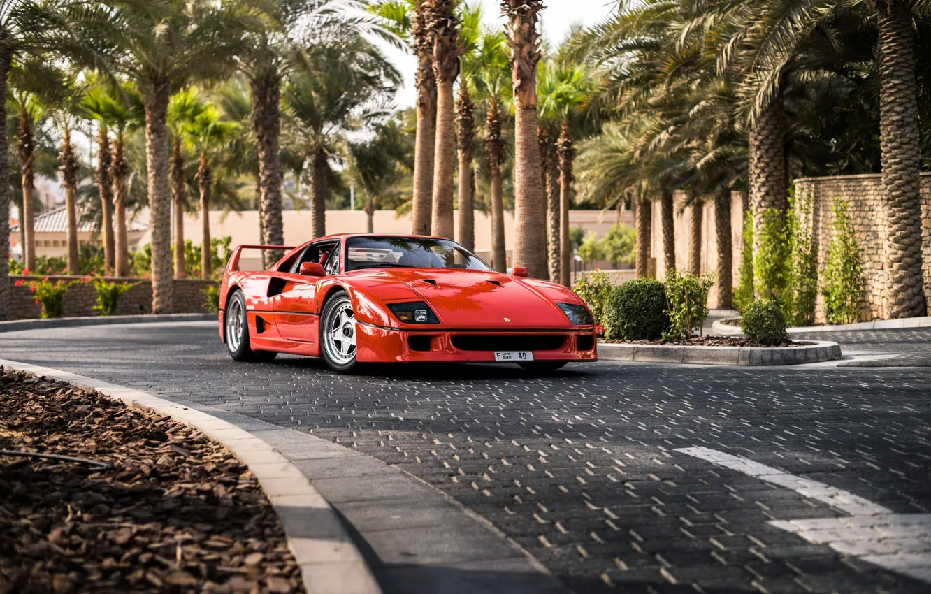 Photo wallpaper road, palm trees, supercar, Ferrari F40, sports car