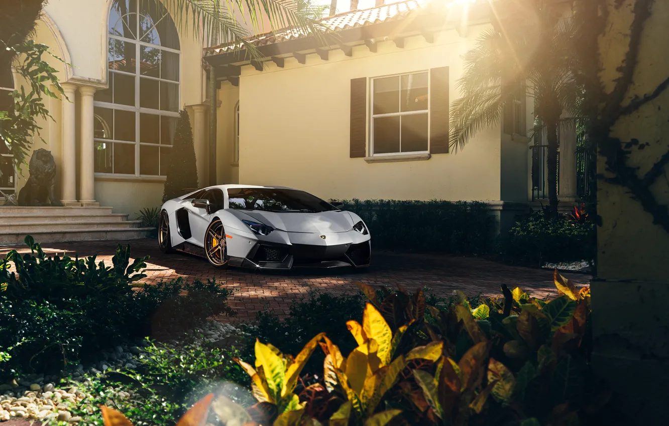 Photo wallpaper Lamborghini, Front, Sun, White, Matte, Tuning, LP700-4, Aventador