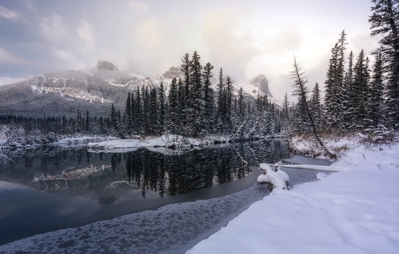 Photo wallpaper winter, forest, river
