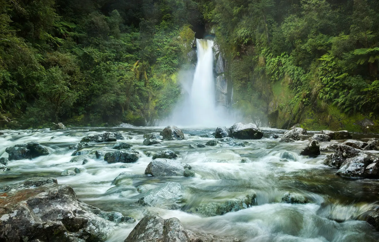 Photo wallpaper forest, trees, rock, stream, stones, waterfall, New Zealand, Fiordland