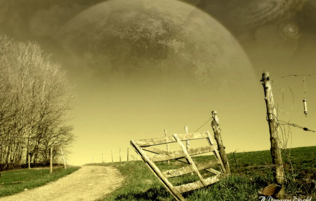 Photo wallpaper trees, the fence, Dreamy World