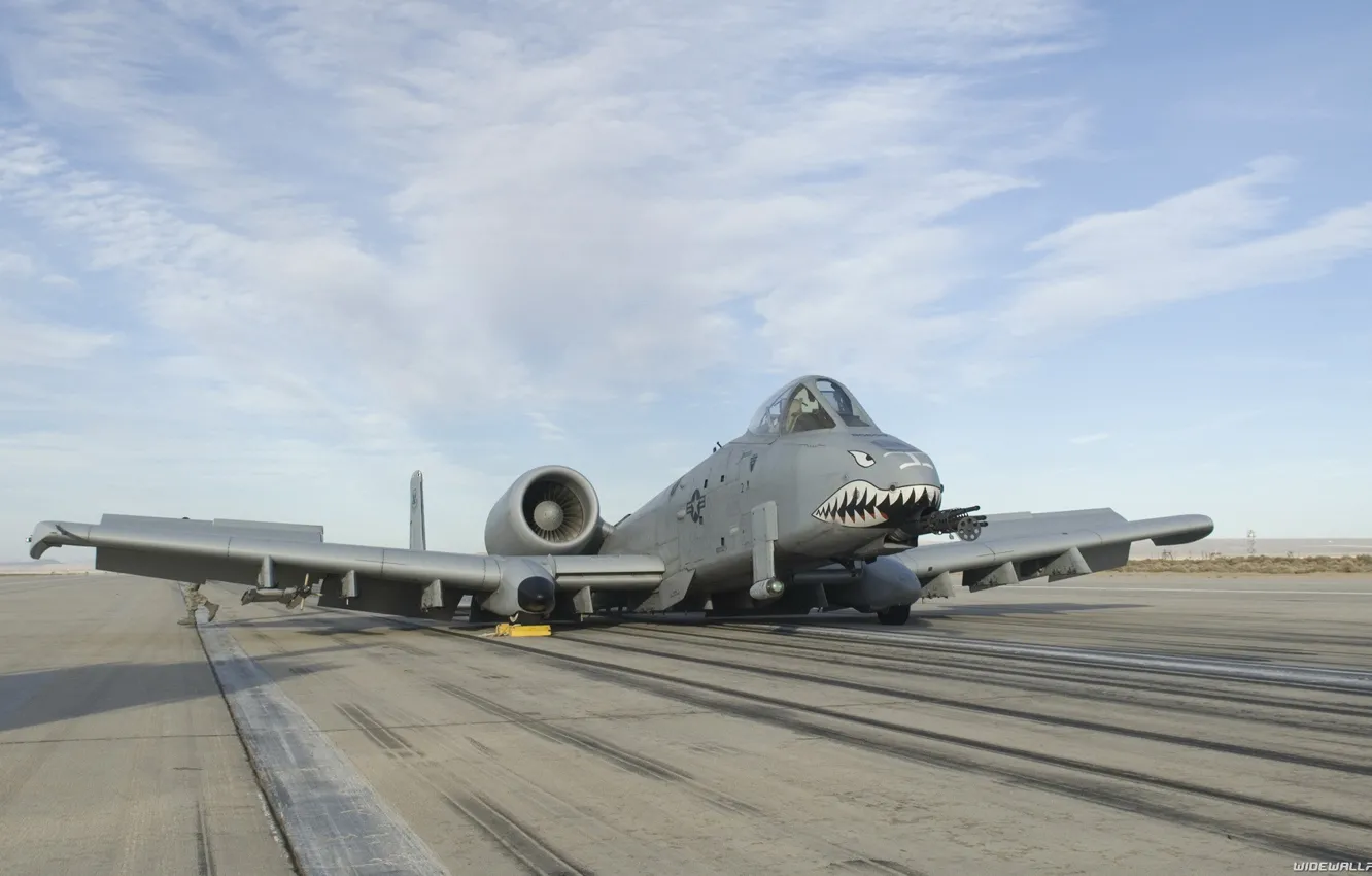 Photo wallpaper the sky, aviation, A-10