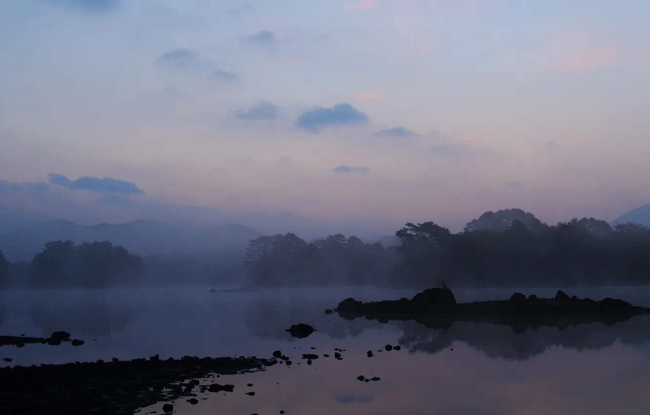 Photo wallpaper trees, fog, lake, dawn, Islands