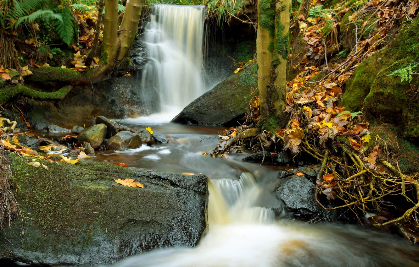 Photo wallpaper autumn, forest, leaves, stones, waterfall, stream, cascade