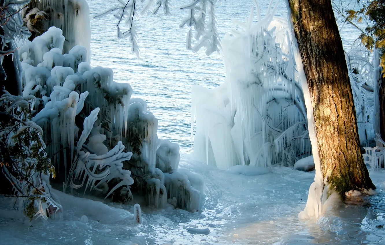 Photo wallpaper ice, winter, trees, nature