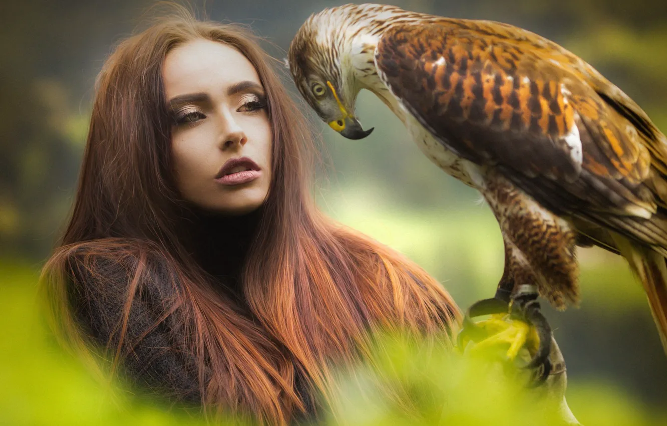 Photo wallpaper look, girl, bird, hair, beautiful, hawk, Joachim Bergauer