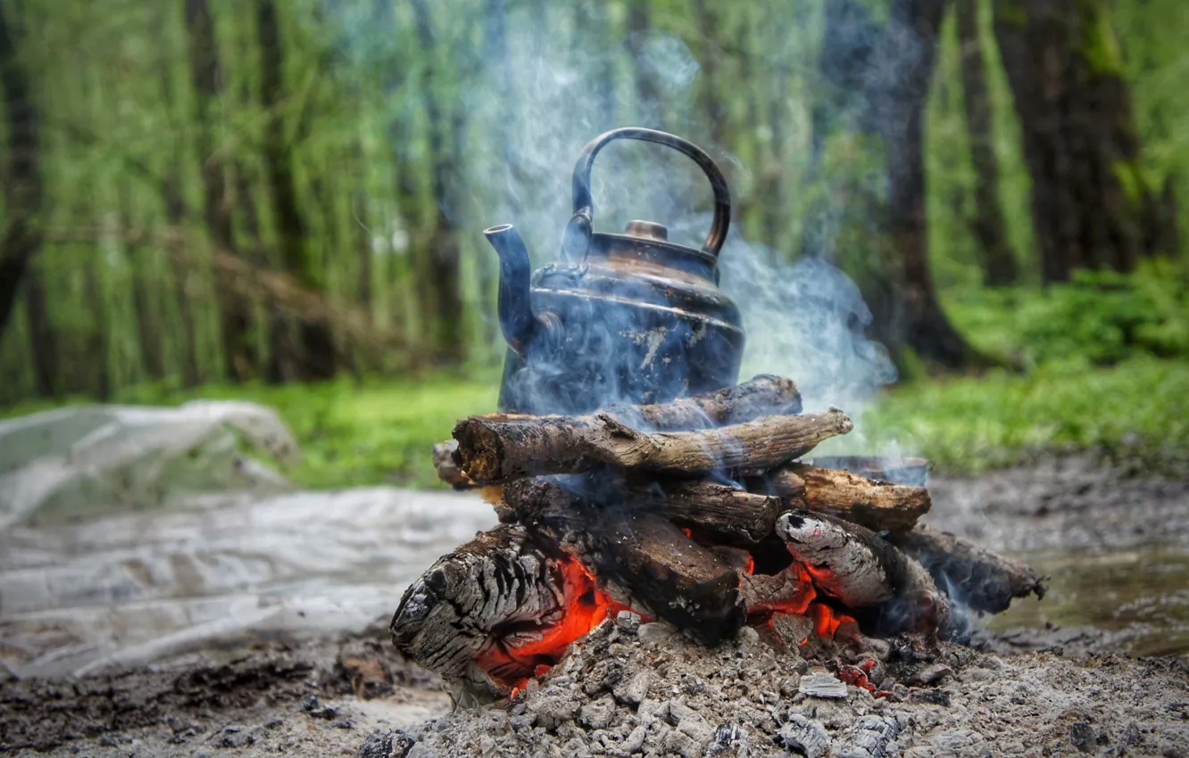 Photo wallpaper forest, smoke, kettle, the fire, wood, coal