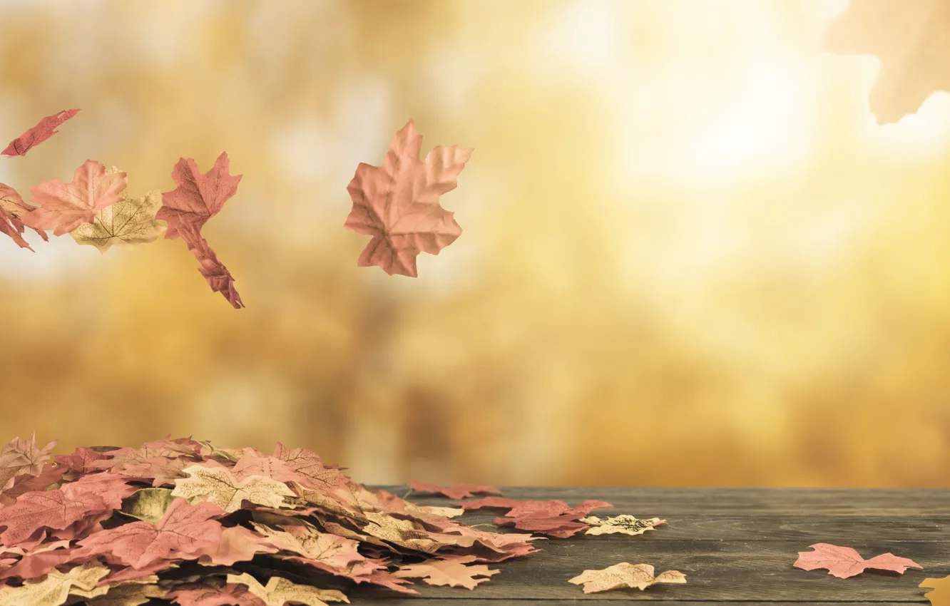 Photo wallpaper autumn, leaves, trees, background, colorful, wood, background, autumn