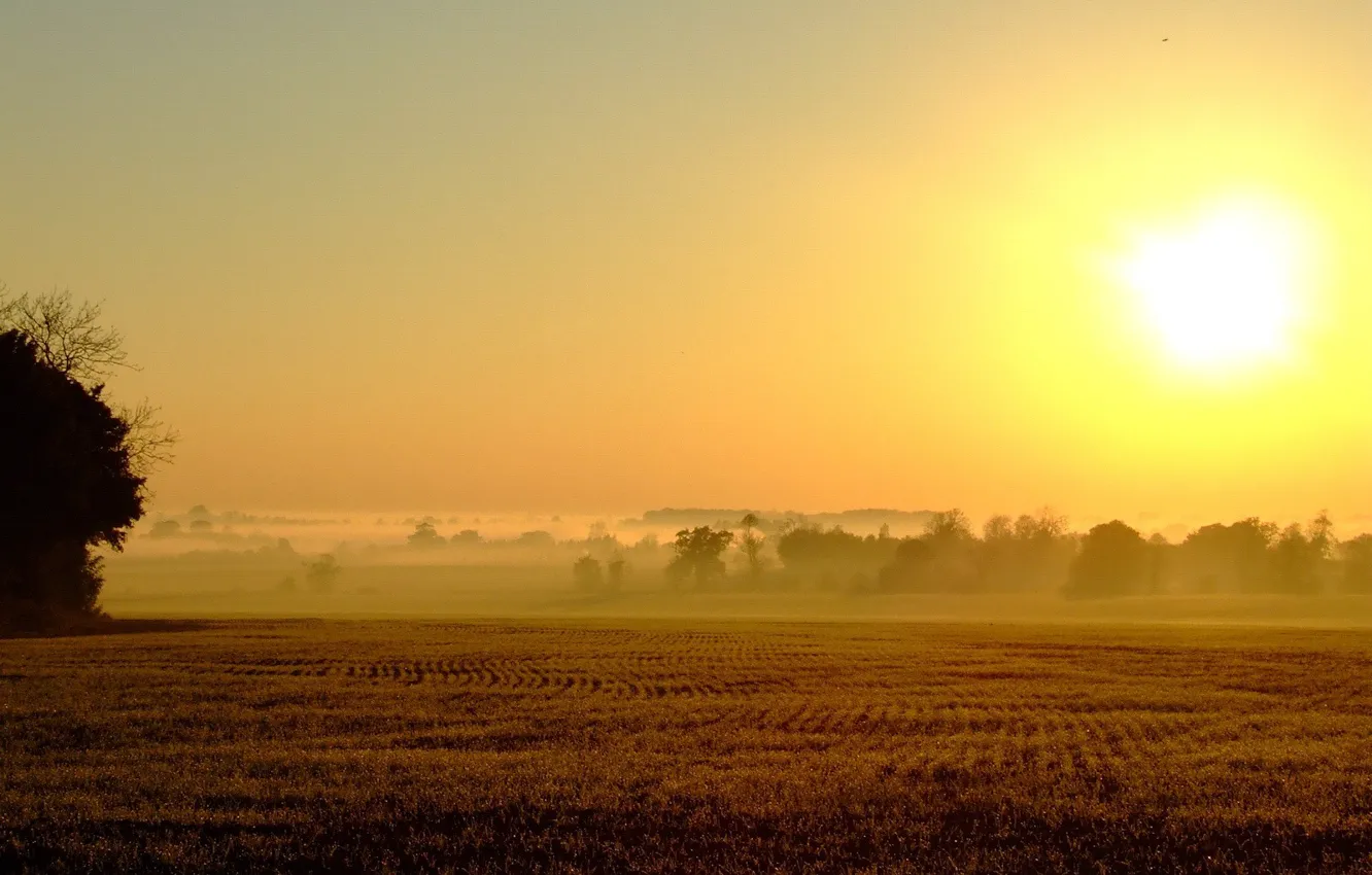 Photo wallpaper field, the sun, fog