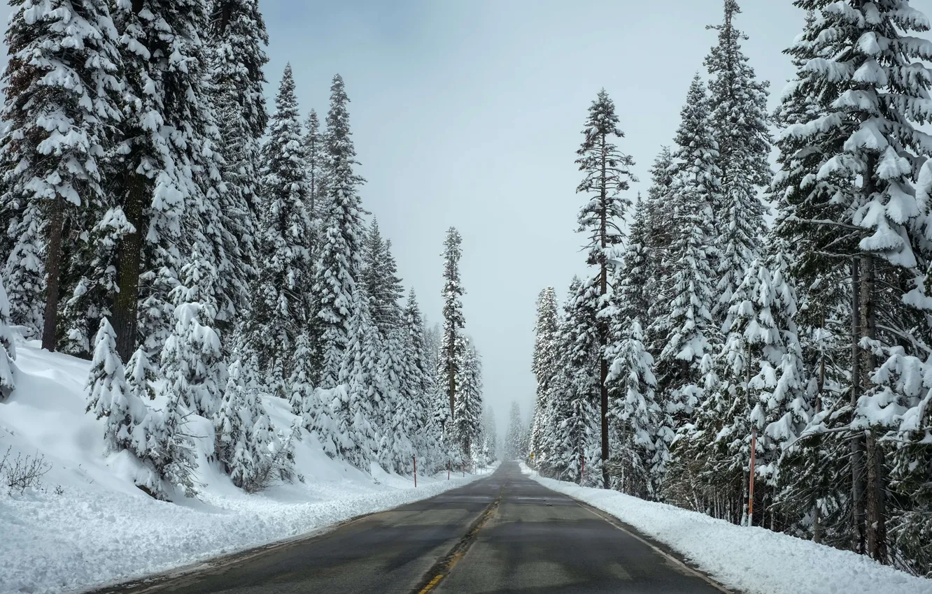 Photo wallpaper winter, road, forest, the sky, asphalt, clouds, snow, trees