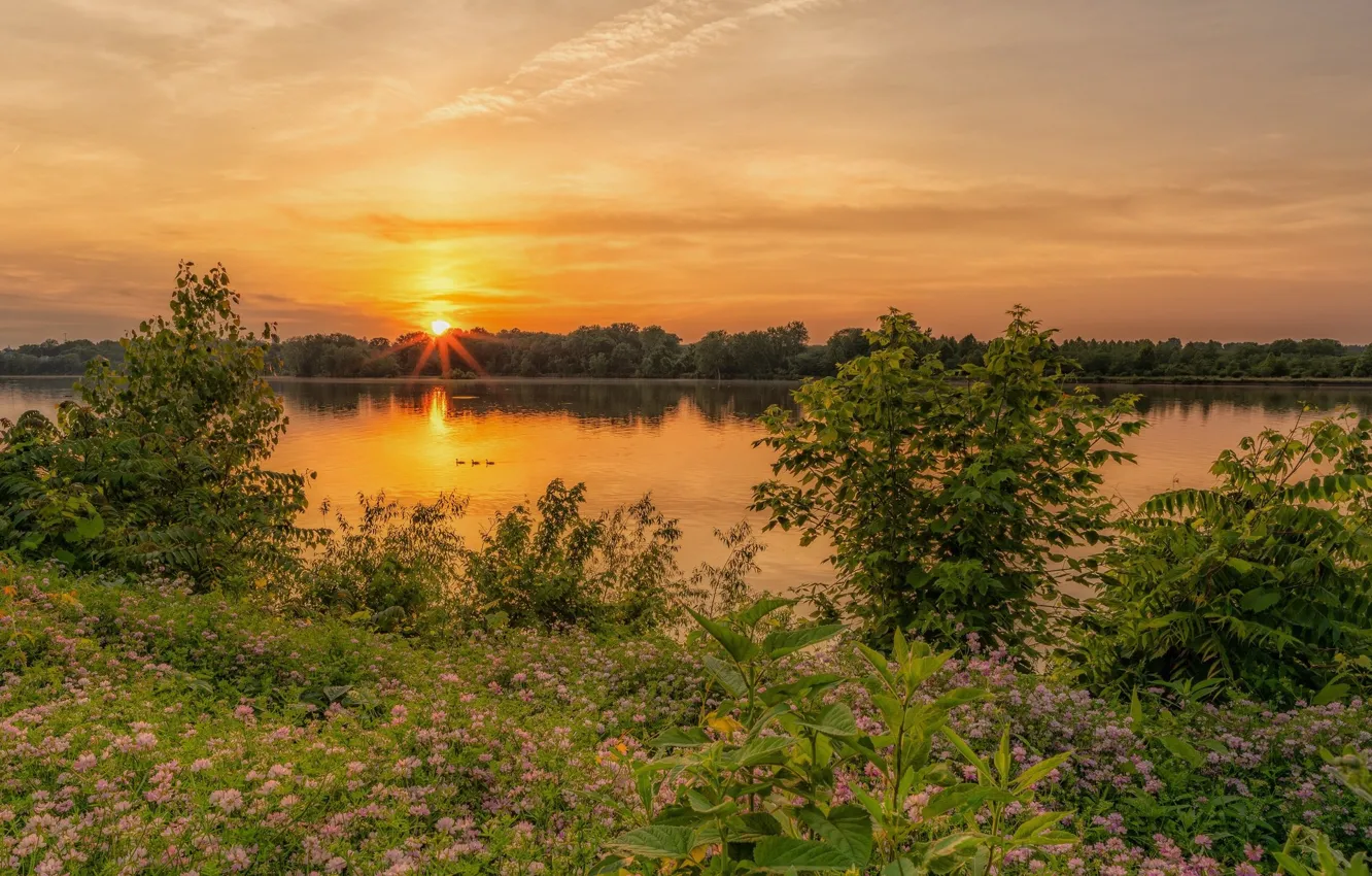 Photo wallpaper sunset, nature, lake, beauty
