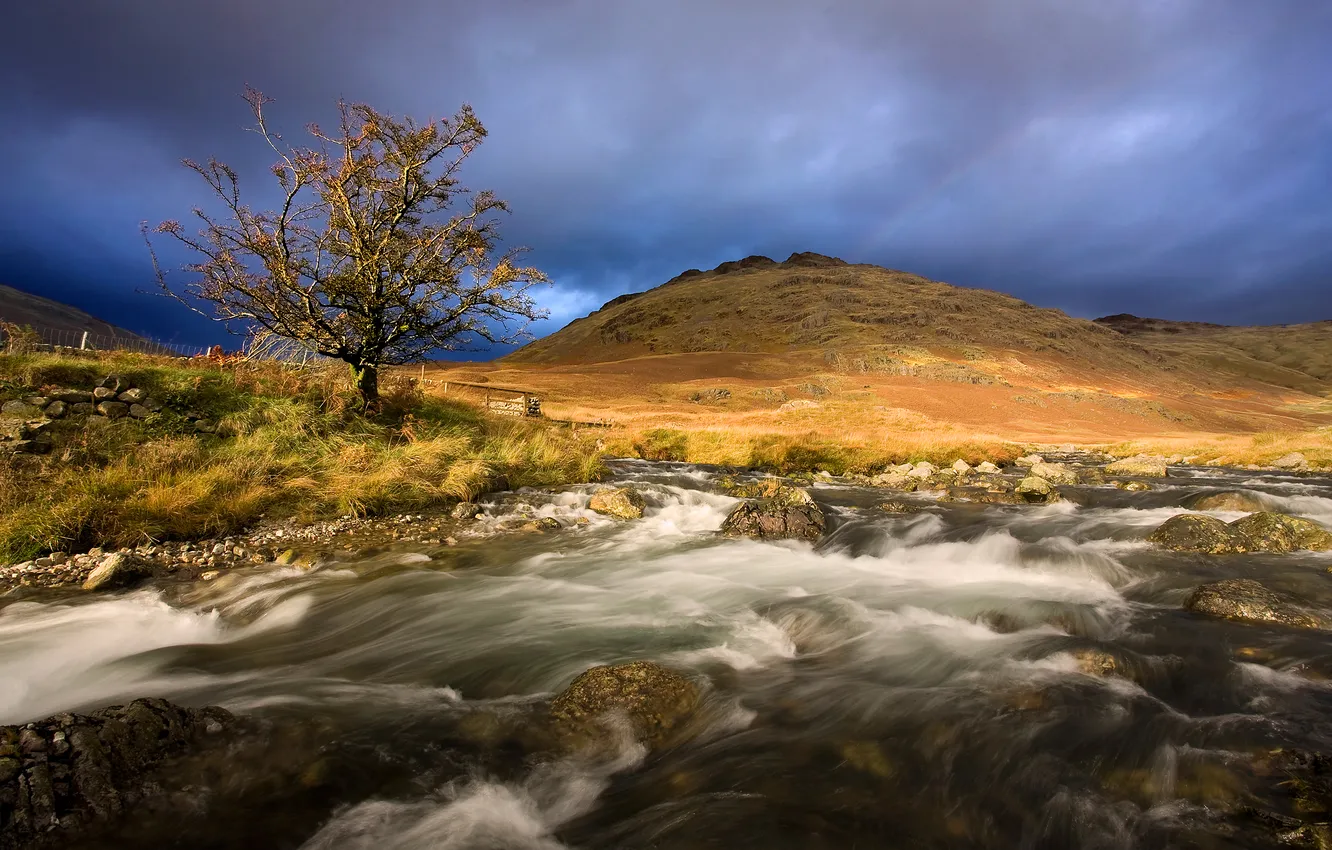 Photo wallpaper trees, mountains, nature, river, stones, stream
