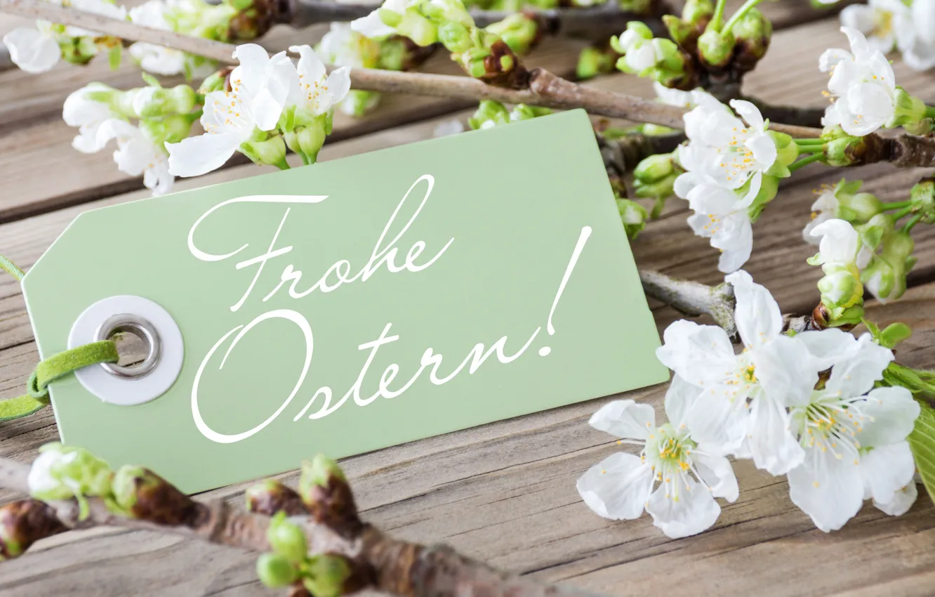 Photo wallpaper flowers, eggs, spring, Easter, flowers, spring, Easter, eggs