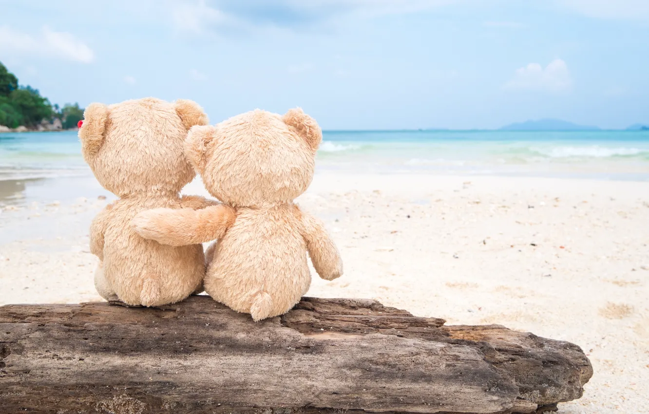 Photo wallpaper sand, sea, beach, love, toy, bear, bear, pair