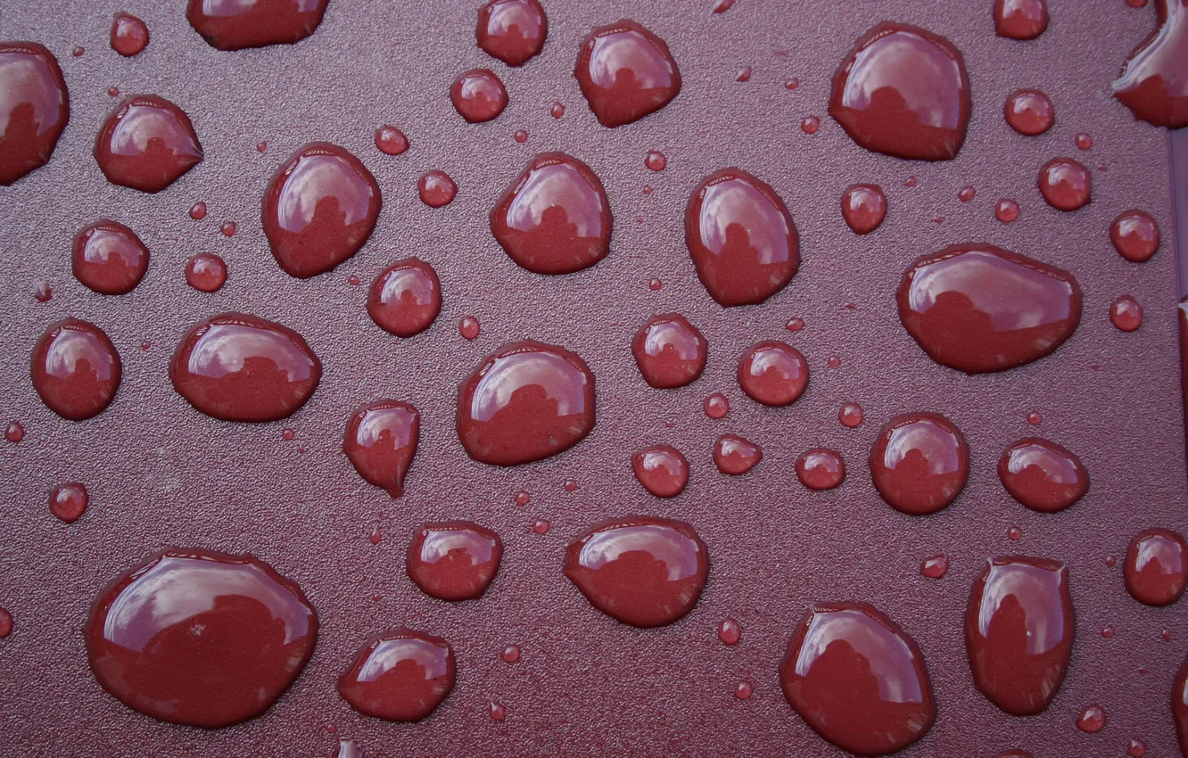 Photo wallpaper water, drops, Macro